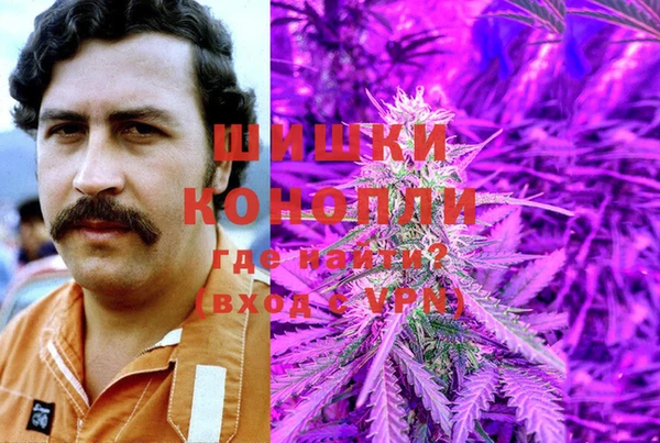 a pvp Аркадак