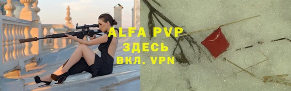 спайс Арсеньев