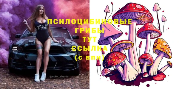 a pvp Аркадак