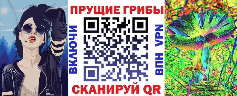 Купить закладки Астрахань Псилоцибиновые грибы Magic Shrooms